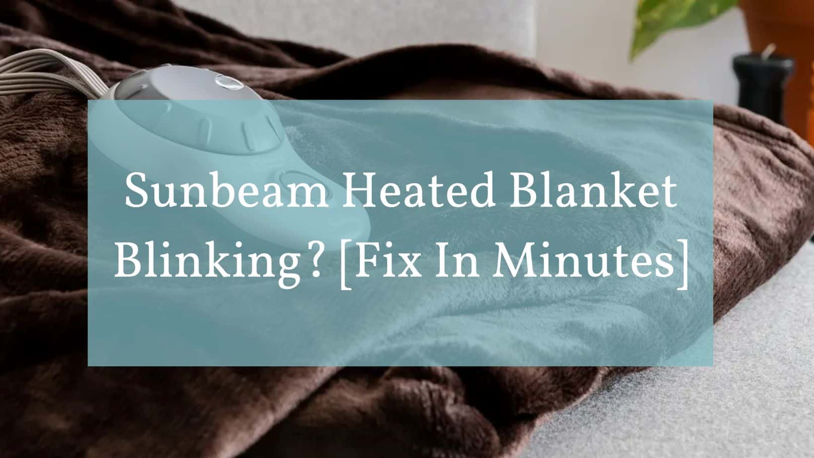 Sunbeam Heated Blanket Blinking? [Fix In Minutes] - Tangy House