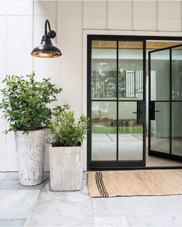 A black frame door and mat on the floor and plants on the corner