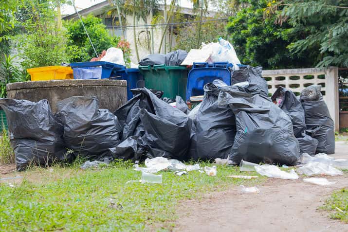 an image of a rubbish in backyard