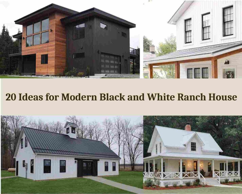20 Ideas for Modern Black and White Ranch House