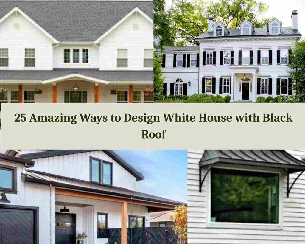 25 Amazing Ways to Design White House with Black Roof