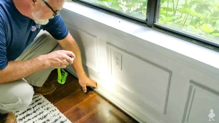 termite inspection