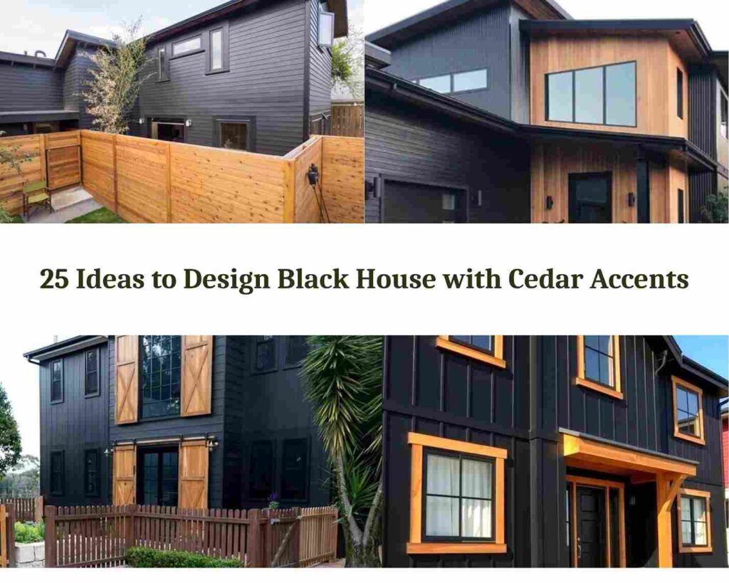 25 Ideas to Design Black House with Cedar Accents