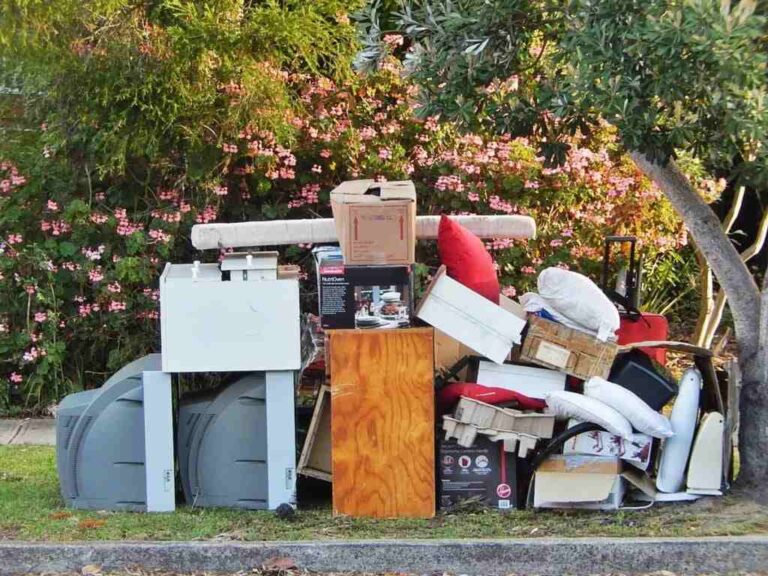 How-To-Find-The-Right-Junk-Removal-Professional-in-McKinney10-Tips