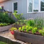The-Lazy-Gardeners-Guide-to-a-Low-Maintenance-Backyard