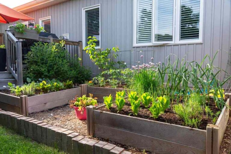The-Lazy-Gardeners-Guide-to-a-Low-Maintenance-Backyard