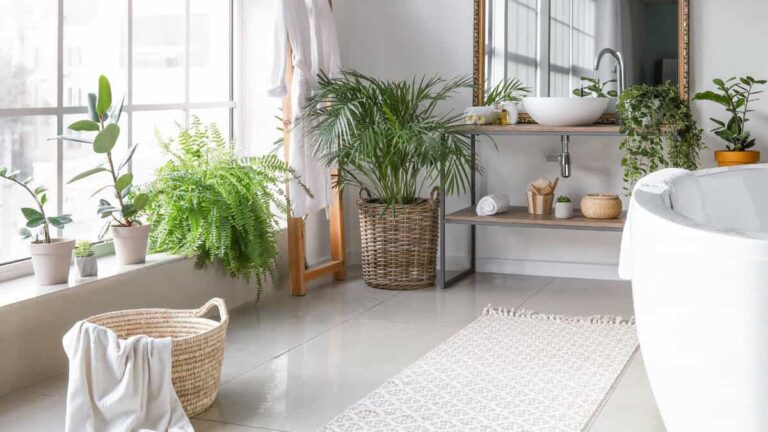 an image of a beautiful bathroom