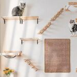 10-Stylish-Cat-Room-Ideas-for-a-Pet-Friendly-and-Organized-Home