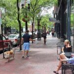 How-Trees-Shape-Liveability-in-Suburban-Neighbourhoods