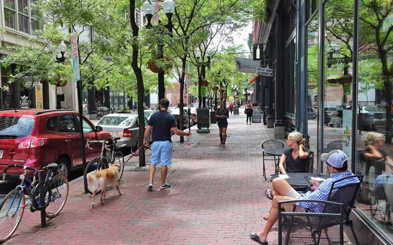 How-Trees-Shape-Liveability-in-Suburban-Neighbourhoods