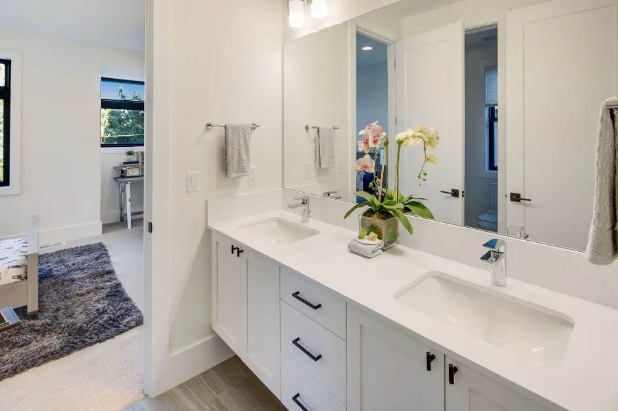 A bathroom with plants in the courter and mirror on the wall 