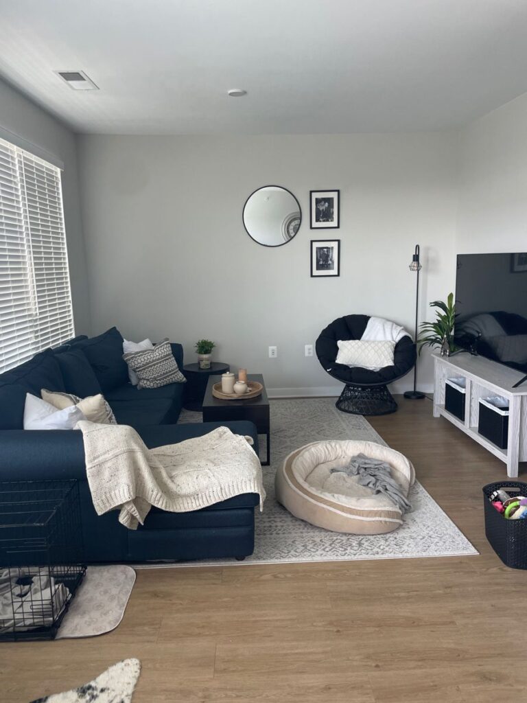 A grey living room with navy sofa and white rug on wooden floor 