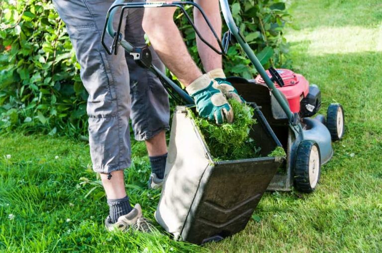 lawn caring