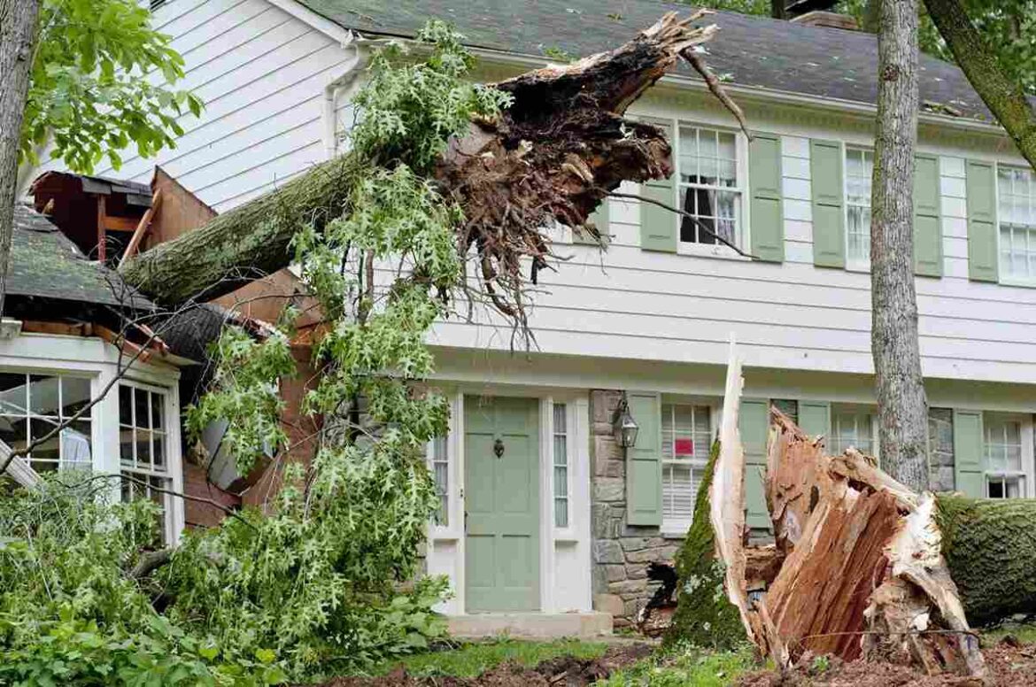 What Homeowners Must Know About Storm Damage Repair - Tangy House