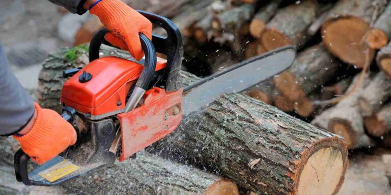 Petrol-Chainsaw-vs-Electric-Chainsaw-Which-One-Suits-Large-Yards-Best