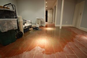 Signs of Hidden Water Damage After a Flood - Tangy House