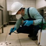 Why-Commercial-Pest-Control-is-Key-to-Maintaining-Health-Code-Compliance