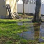 Expert-Tips-for-Managing-Water-Accumulation-in-Your-Backyard