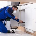 What-Every-Homeowner-Should-Know-About-Professional-Pest-Management
