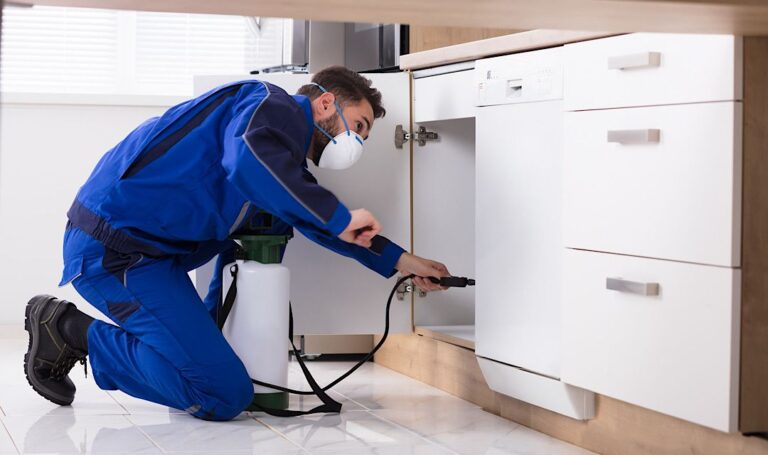 What-Every-Homeowner-Should-Know-About-Professional-Pest-Management