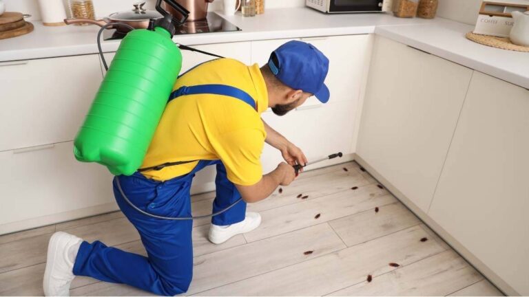 man-is-doing-pest-control-in-a-kitchen-and-several-cockroches-are-out-on-a-ground