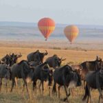 Why the Serengeti Is Perfect for a Honeymoon