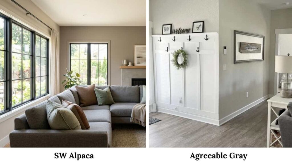 Comparison Between Sherwin Williams Alpaca vs Agreeable Gray