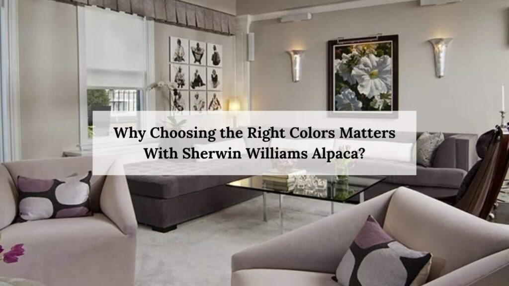 Why Choosing the Right Colors Matters With Sherwin Williams Alpaca?
