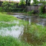 a-large-murky-puddle-covers-most-of-a-grassy-lawn-likely-following-heavy-rain-or-due-to-poor-drainage