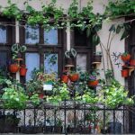 a-lush-urban-balcony-garden-a-dense-variety-of-potted-plants-and-climbing-vines-cover-the-space
