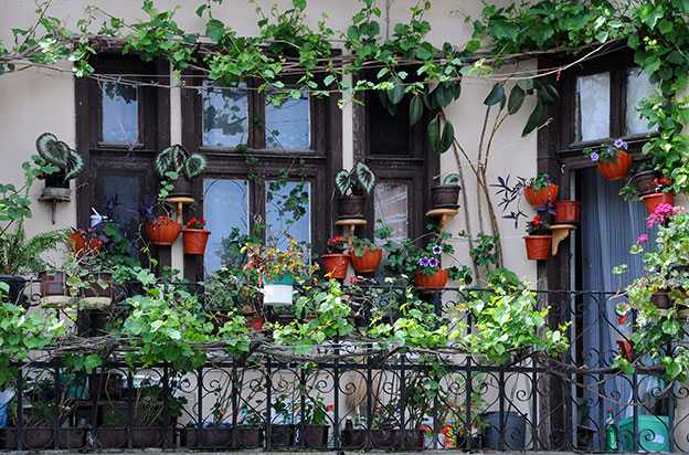 Do You Have an Unused Balcony? Here’s What to Do with It a-lush-urban-balcony-garden-a-dense-variety-of-potted-plants-and-climbing-vines-cover-the-space