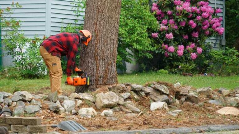 a-person-cutting-a-large-tree-with-a-chainsaw-the-person-is-wearing-protective-gear-including-a-safety-helmet-and-gloves