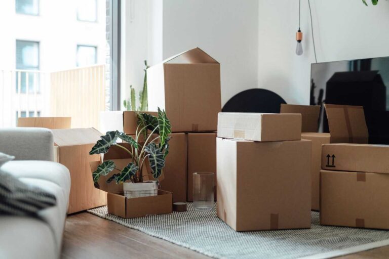 Decluttering Tips Before You Move to a New Home modern-living-room-filled-with-various-sized-cardboard-moving-boxes-indicating-a-household-relocation