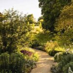 which direction should your garden face kdalandscapetion Featured Image