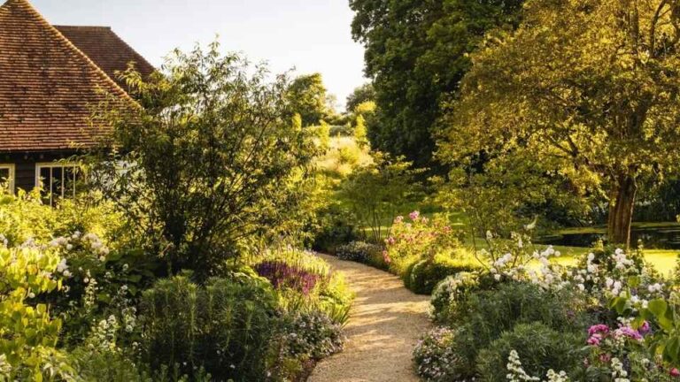 which direction should your garden face kdalandscapetion Featured Image