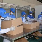 workers-in-blue-protective-gear-and-face-masks-are-carefully-placinng-something-into-a-large-cardboard-boxes-on-a-stainless-steel-production-line