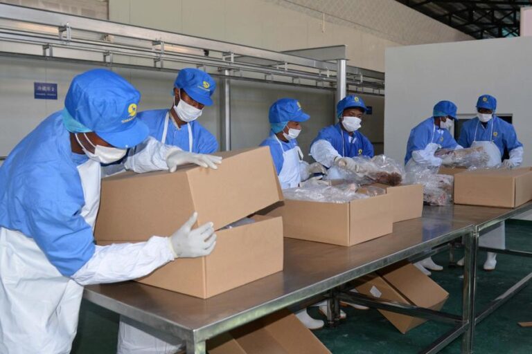 workers-in-blue-protective-gear-and-face-masks-are-carefully-placinng-something-into-a-large-cardboard-boxes-on-a-stainless-steel-production-line
