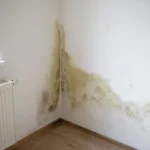 dark-vertical-irregular-water-stains-climb-up-the-corner-where-two-white-interior-walls-meet